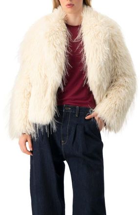 Ivonne Faux-Fur Plush Teddy Coat in Ivory at Nordstrom, Size 14