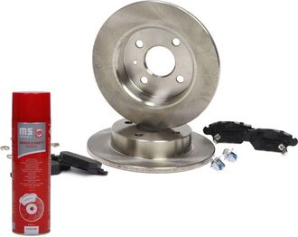 OEM Discos + Pastillas De Freno Traseros 201002511
