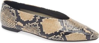 Aeyde Betty Pointed Toe Flat in Hazelnut at Nordstrom, Size 11.5Us