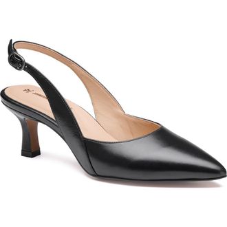 Johnston & Murphy Lindsey Slingback Pointed Toe Kitten Heel Pump in Black Glove Leather at Nordstrom, Size 9.5