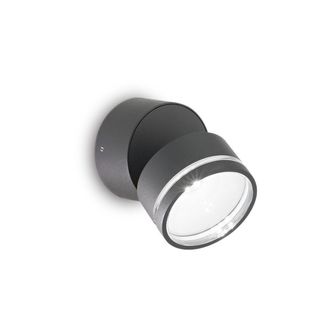 Netlighting Omega Round Single Spotlight Anthracite IP54 4000K in Black