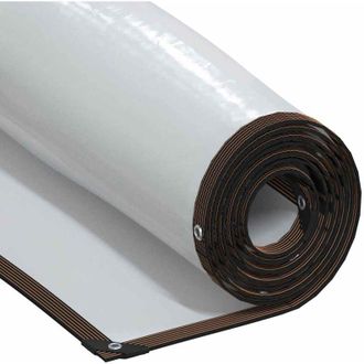 vidaXL Lona Transparente Con Ojales Polietileno 5x10 M Vidaxl