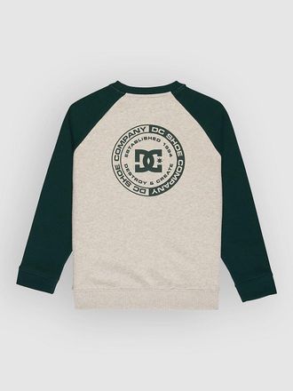 DC Corpo Raglan Crew Kids Sweater groen