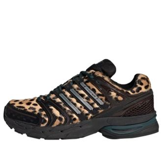adidas (WMNS) adidas Adistar Control 5 Aurora Ivy Core Black Silver Metallic KI4204