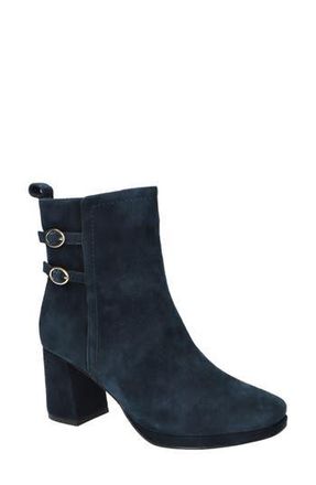 Bella Vita Orchard Moto Bootie in Navy Kidsuede Leather at Nordstrom Rack, Size 7.5
