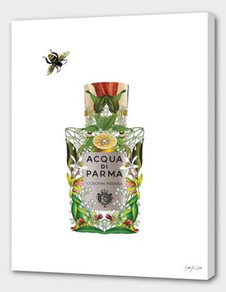 Curioos Acqua Di Parma - Colonia Intensa
