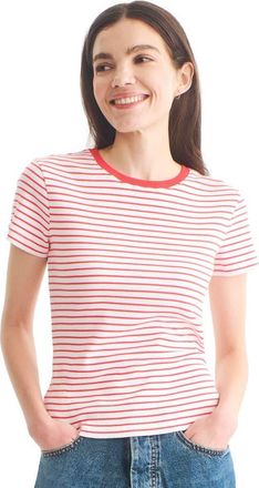 primary Womens Fit Rib Tee In Stripe in Strawberry White Stripe at Nordstrom, Size Xx-Large