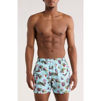 BOSS Piranha Swim Shorts in Blue Multi at Nordstrom Rack, Size Xx-Large