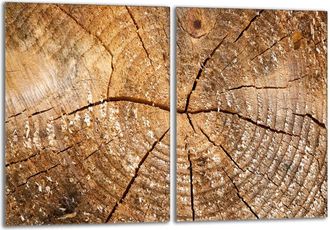 OEM Placa Protectora De Vidrio Para Estufa 2x40x52 Le&ntilde;a