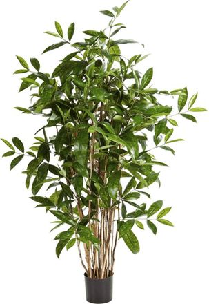 Baq Lebensechte Kunstpflanze Dracaena Surculosa, ø 45/ Höhe 120 cm