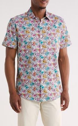Robert Graham Benloch Short Sleeve Cotton Button-Up Shirt in White Multi at Nordstrom Rack, Size Xx-Large