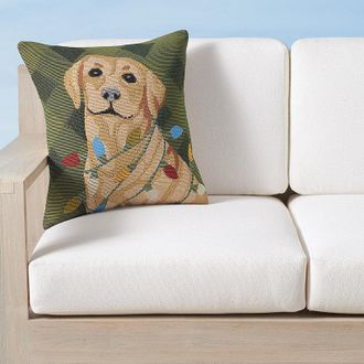 Frontgate Labs and Lights Indoor/Outdoor Pillow - Frontgate