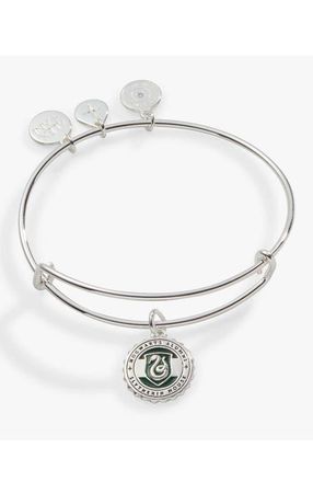 Alex and Ani Harry Potter Slytherin House Charm Bangle Bracelet in Silver at Nordstrom