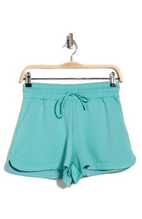 Marika Abby Shorts in Agate Green at Nordstrom Rack, Size X-Large