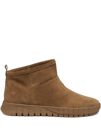 Geox chelsea suede boots - Brown