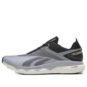 Reebok Floatride Run Panthea Sterling Grey EG1926