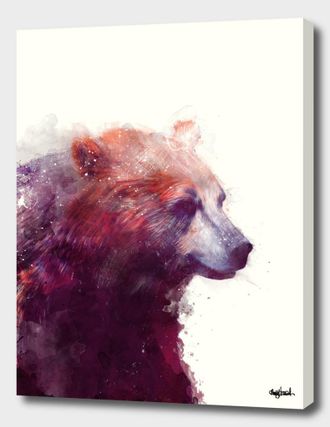 Curioos Bear Calm