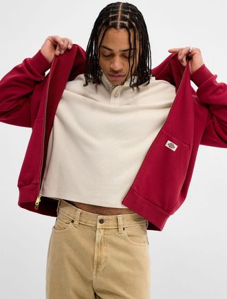 Dickies Mens Solid zipped hoodie