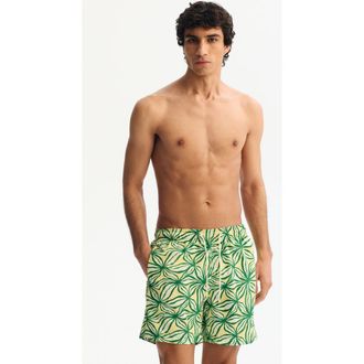H&M Patterned Swim Shorts in Green/patterned at Nordstrom, Size X-Large