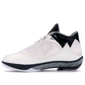 Nike Jordan Air Jordan 2009 White Metallic Silver 343084-161