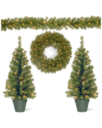 National Tree Company Two 3Ft Entrance Trees W/ 35 Warm White Bat Op Leds + 9Ft X 8In Garland W/ 50 Warm White Bat Op Leds + 24I