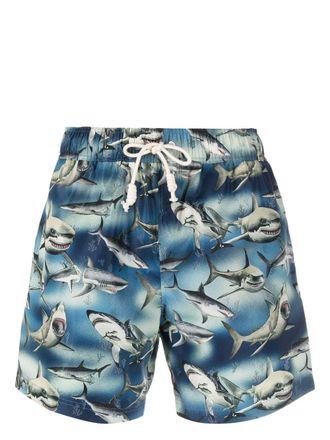 Palm Angels Sharks-print swim shorts - Blue