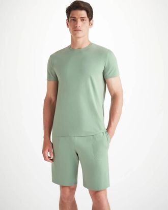 Derek Rose Basel Micro Modal Stretch T-Shirt In Eucalyptus