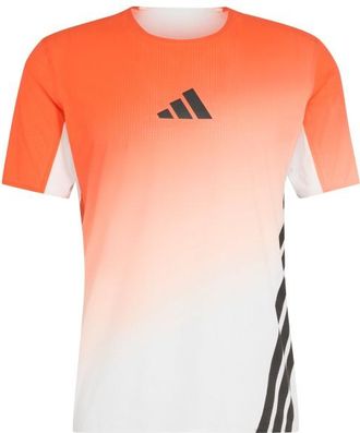 ADIDAS TERREX XPR Pro Tee Laufshirt f&uuml;r Herren | bunt