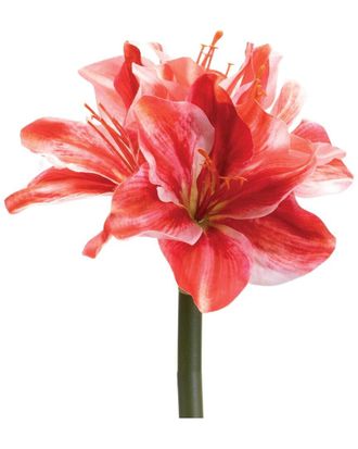 Melrose International Set Of 6 Amaryllis Flower Stem