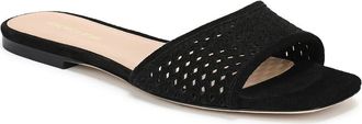 Veronica Beard Myla Perforated Slide Sandal in Black at Nordstrom, Size 7.5