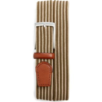 Nordstrom Ian Woven Elastic Belt in Olive Dark at Nordstrom, Size 38
