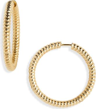 Established 18k Gold Rope Hoop Earrings in Yellow Gold at Nordstrom