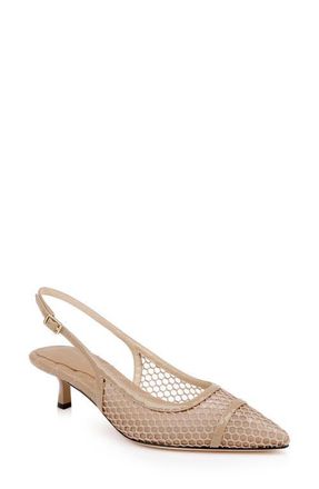 L'agence Graland Pointed Toe Slingback Pump in Cappuccino Mesh at Nordstrom, Size 7