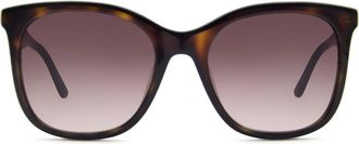 Mexx 6567 100 Mens Sunglasses Tortoiseshell Size 53