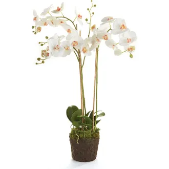 Napa Home & Garden Phalaenopsis Orchid Faux (Fake) Drop-In 31 in White at Nordstrom