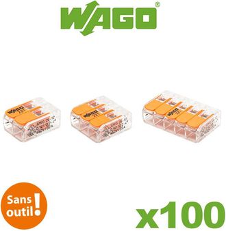 OEM Wago - Panach Bote De 100 Terminales Conexion Automatica 2, 3 Y 5 Entr Es S221
