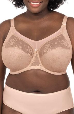 Goddess Verity Underwire Full Figure Bra in Fawn at Nordstrom, Size 34N