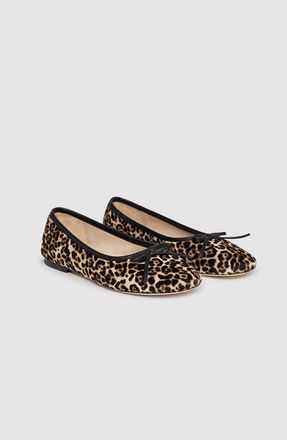 Anine Bing Jamie Ballerina Flats in Leopard Print at Nordstrom, Size 41
