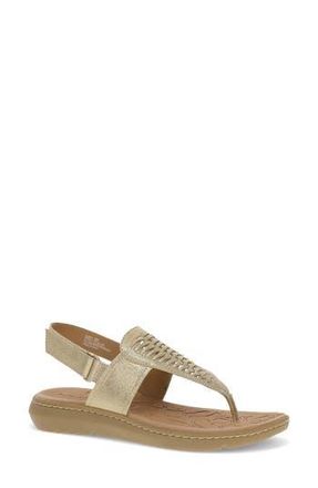 BareTraps Quincy T-Strap Sandal in Old Gold at Nordstrom Rack, Size 7.5