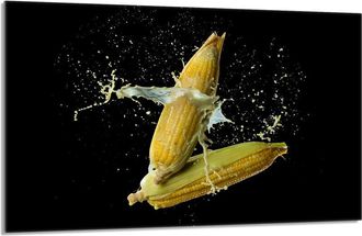 OEM Protector De Vidrio Para Estufa 80x52 Ma&iacute;z