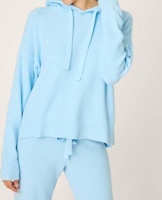 PJ Salvage Sweater Weather Hoodie In Light Sky