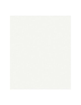 OEM 3002 Patent Wand Wan 10,05x0.53m5,33m&sup2; Pr&eacute;peint - Decorama