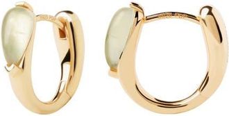 PD Paola Isla Hoops in Prehnite at Nordstrom