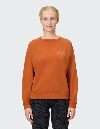 Venice Beach Sweatshirt VENICE BEACH SWEATSHIRT EARTHA, Damen, Gr. XS (36), gelb (amber), Obermaterial: 68% Baumwolle, 30% Polyester, 2% Elasthan, Sweatshirts Swea