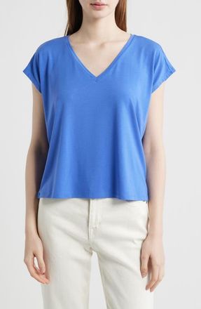 Eileen Fisher V-Neck Boxy T-Shirt in Blue Star at Nordstrom, Size Xx-Small