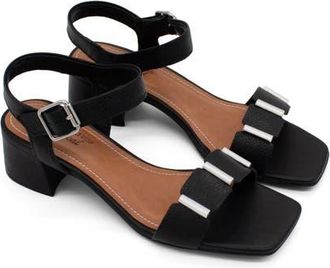 Bottero Botcatia Tropical Verao XXIII Ankle Strap Sandal in Preto at Nordstrom, Size 11