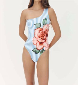 Hutch Stella One-Piece Swimsuit In Coral Striped Rose