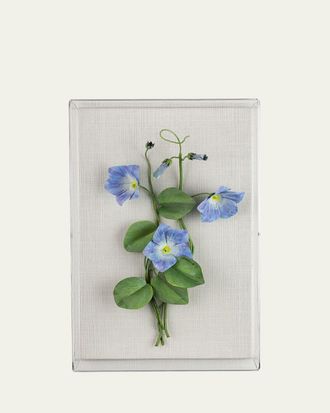 Tommy Mitchell Morning Glory September Birth Flower Wall Art