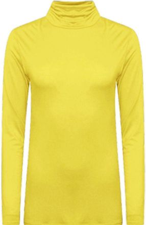 Generic Womens Long Sleeve Polo Neck Roll Neck Top - Plain Turtle Neck Slim Fit Jumper Shirt Casual Stretchy Tunic Plus Size (UK, Numeric, 12, 14, Regular, Re