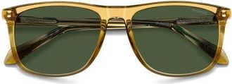 Polaroid 55mm Polarized Rectangular Sunglasses in Beige/Green Pz at Nordstrom